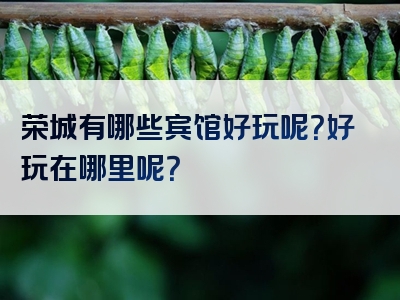 荣城有哪些宾馆好玩呢？好玩在哪里呢？