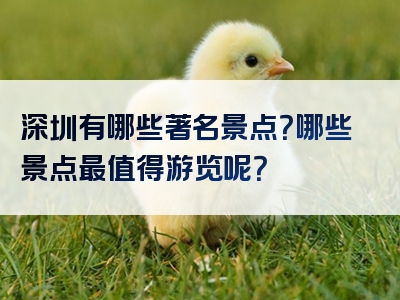 深圳有哪些著名景点？哪些景点最值得游览呢？