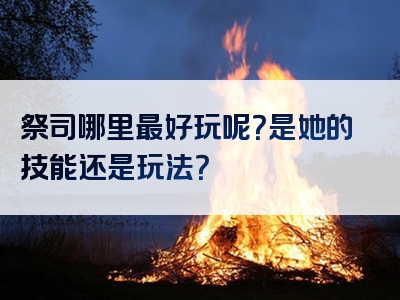 祭司哪里最好玩呢？是她的技能还是玩法？