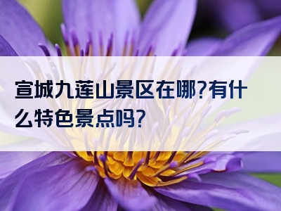 宣城九莲山景区在哪？有什么特色景点吗？