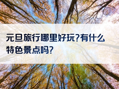 元旦旅行哪里好玩？有什么特色景点吗？
