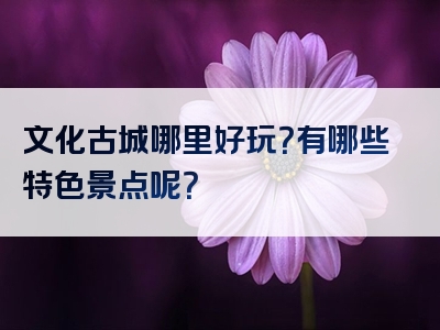 文化古城哪里好玩？有哪些特色景点呢？