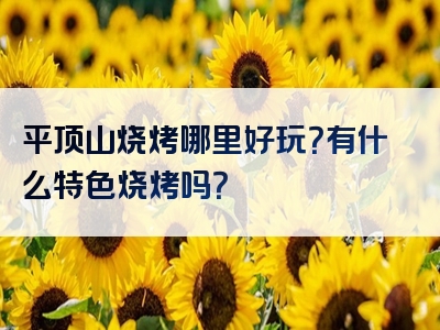 平顶山烧烤哪里好玩？有什么特色烧烤吗？