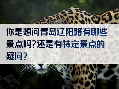你是想问青岛辽阳路有哪些景点吗？还是有特定景点的疑问？