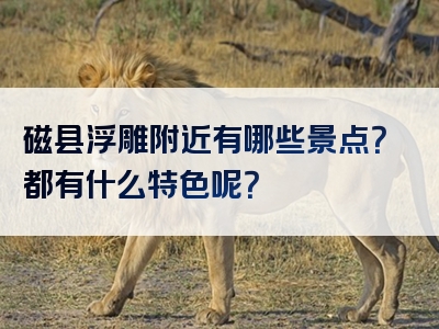 磁县浮雕附近有哪些景点？都有什么特色呢？