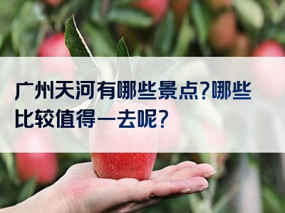 广州天河有哪些景点？哪些比较值得一去呢？
