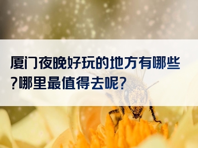 厦门夜晚好玩的地方有哪些？哪里最值得去呢？