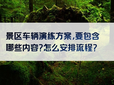 景区车辆演练方案，要包含哪些内容？怎么安排流程？