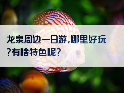 龙泉周边一日游，哪里好玩？有啥特色呢？