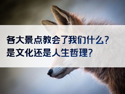 各大景点教会了我们什么？是文化还是人生哲理？