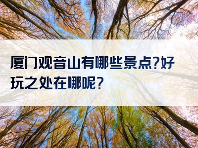 厦门观音山有哪些景点？好玩之处在哪呢？