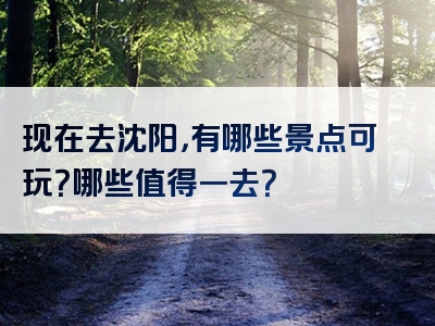 现在去沈阳，有哪些景点可玩？哪些值得一去？