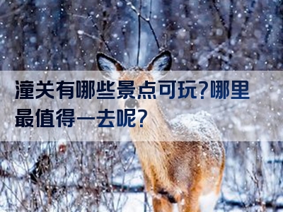 潼关有哪些景点可玩？哪里最值得一去呢？