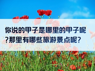 你说的甲子是哪里的甲子呢？那里有哪些旅游景点呢？