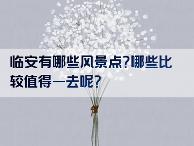 临安有哪些风景点？哪些比较值得一去呢？