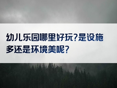幼儿乐园哪里好玩？是设施多还是环境美呢？