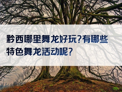 黔西哪里舞龙好玩？有哪些特色舞龙活动呢？