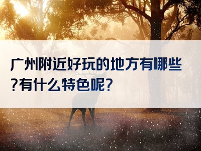 广州附近好玩的地方有哪些？有什么特色呢？