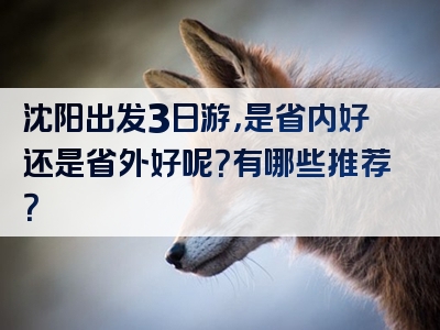 沈阳出发3日游，是省内好还是省外好呢？有哪些推荐？