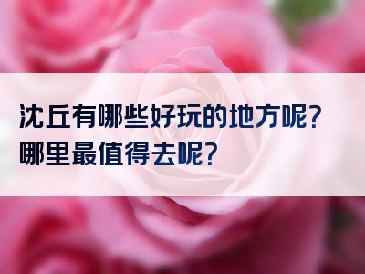 沈丘有哪些好玩的地方呢？哪里最值得去呢？