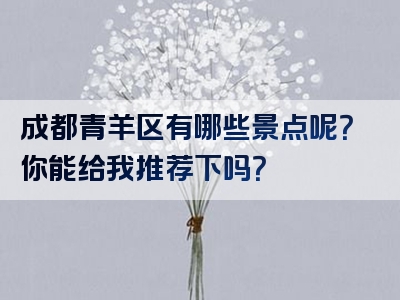 成都青羊区有哪些景点呢？你能给我推荐下吗？