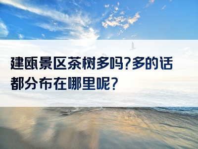 建瓯景区茶树多吗？多的话都分布在哪里呢？