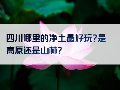 四川哪里的净土最好玩？是高原还是山林？