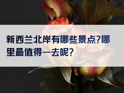 新西兰北岸有哪些景点？哪里最值得一去呢？