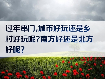 过年串门，城市好玩还是乡村好玩呢？南方好还是北方好呢？
