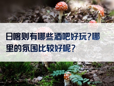 日喀则有哪些酒吧好玩？哪里的氛围比较好呢？