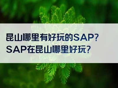 昆山哪里有好玩的SAP？SAP在昆山哪里好玩？