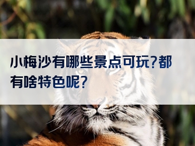 小梅沙有哪些景点可玩？都有啥特色呢？