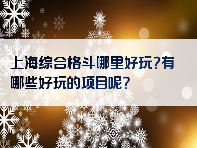 上海综合格斗哪里好玩？有哪些好玩的项目呢？