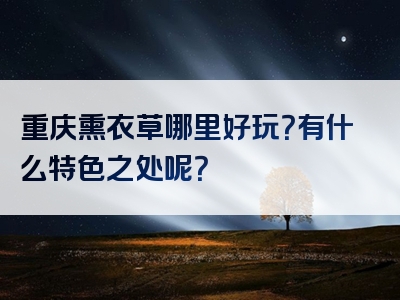 重庆熏衣草哪里好玩？有什么特色之处呢？