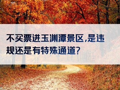 不买票进玉渊潭景区，是违规还是有特殊通道？