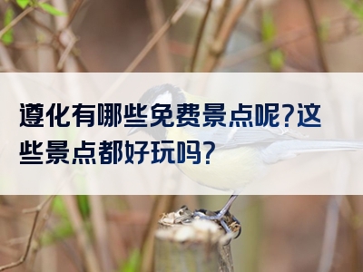 遵化有哪些免费景点呢？这些景点都好玩吗？