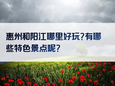 惠州和阳江哪里好玩？有哪些特色景点呢？