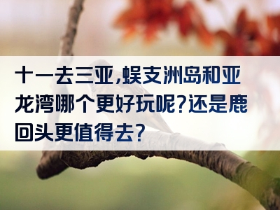 十一去三亚，蜈支洲岛和亚龙湾哪个更好玩呢？还是鹿回头更值得去？