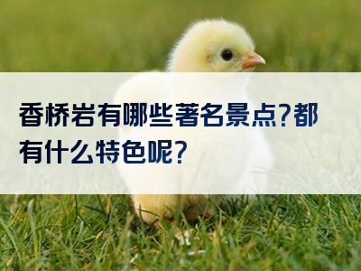 香桥岩有哪些著名景点？都有什么特色呢？