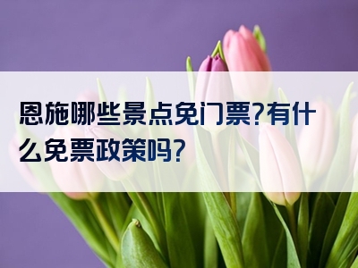 恩施哪些景点免门票？有什么免票政策吗？