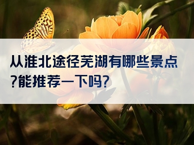 从淮北途径芜湖有哪些景点？能推荐一下吗？