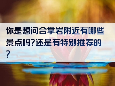 你是想问合掌岩附近有哪些景点吗？还是有特别推荐的？