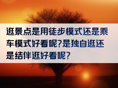 逛景点是用徒步模式还是乘车模式好看呢？是独自逛还是结伴逛好看呢？