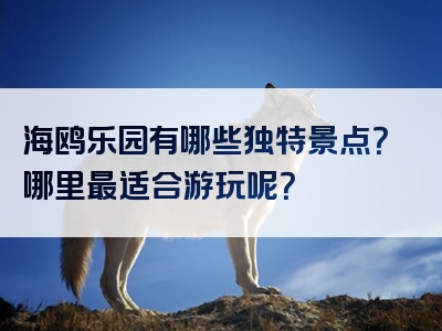 海鸥乐园有哪些独特景点？哪里最适合游玩呢？