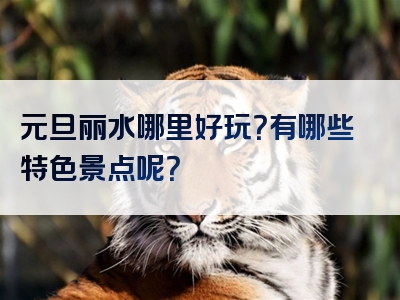 元旦丽水哪里好玩？有哪些特色景点呢？