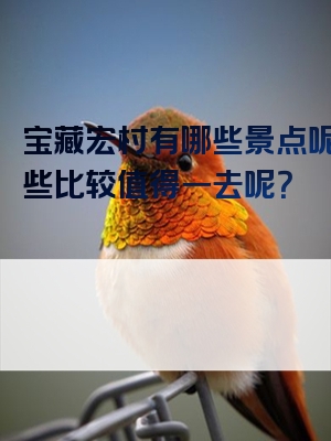 宝藏宏村有哪些景点呢？哪些比较值得一去呢？