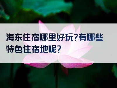 海东住宿哪里好玩？有哪些特色住宿地呢？