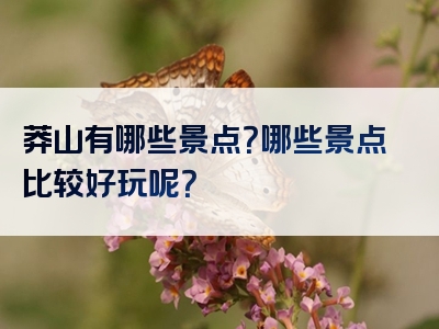 莽山有哪些景点？哪些景点比较好玩呢？