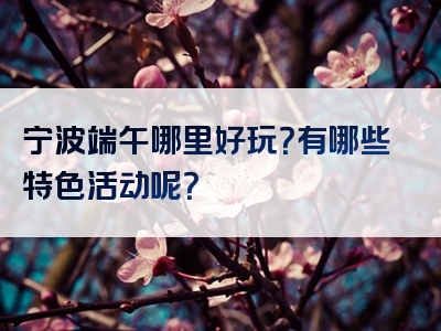 宁波端午哪里好玩？有哪些特色活动呢？