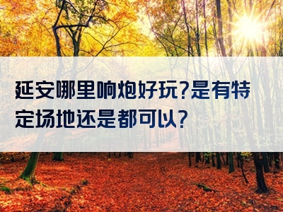 延安哪里响炮好玩？是有特定场地还是都可以？